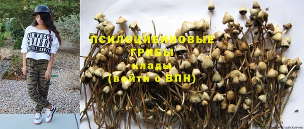 стафф Балабаново