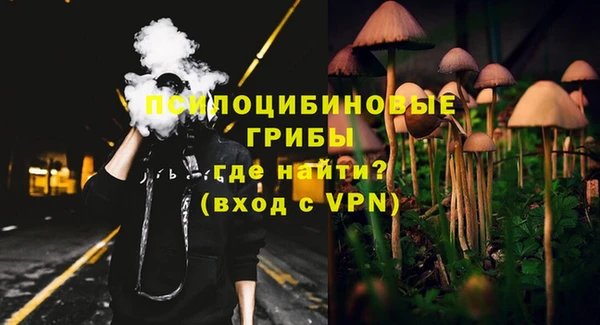 Альфа ПВП Армянск